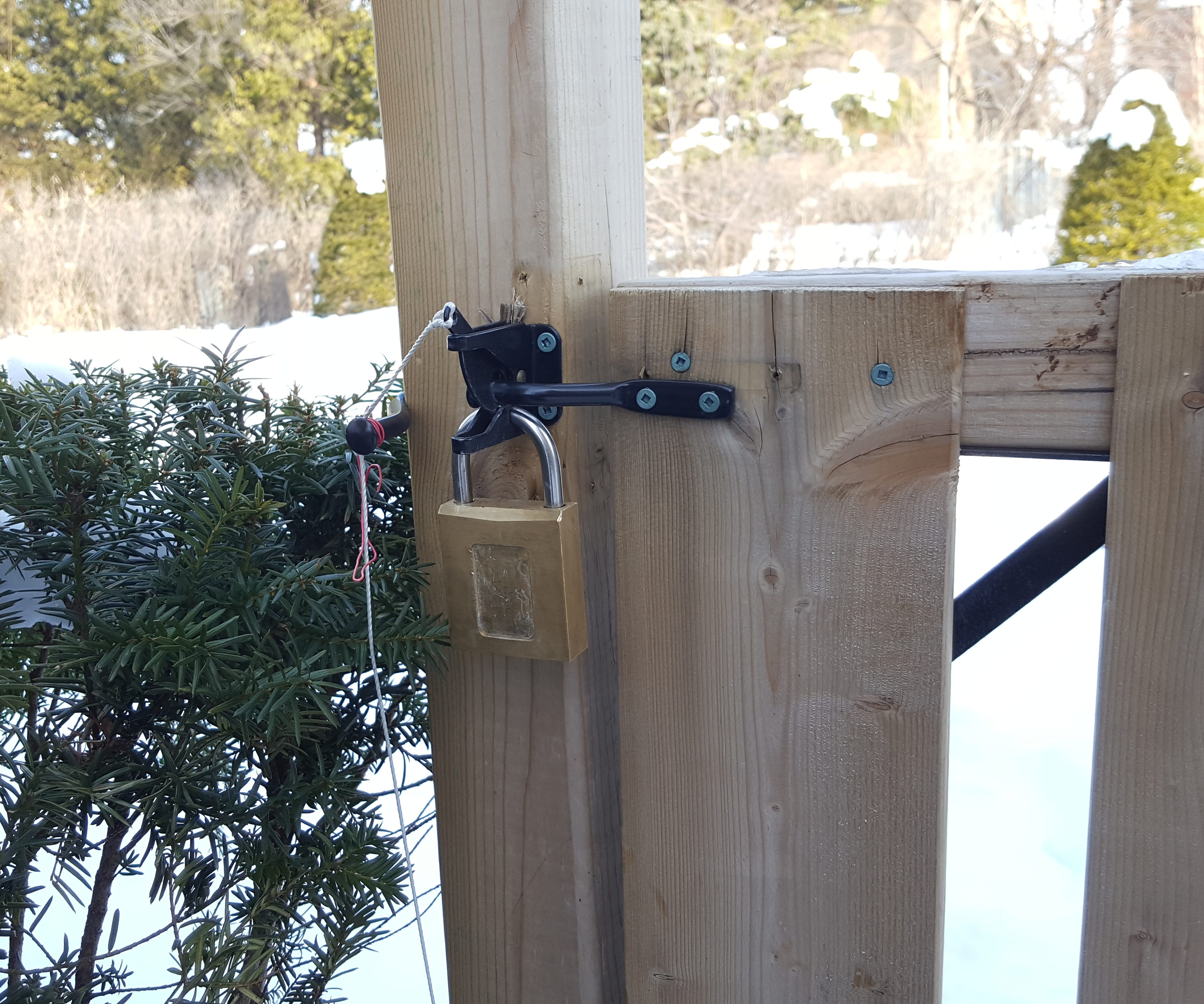 Magnetic Padlock on Garden Fence